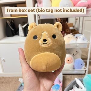 4" Squishmallow Bear (Baron) NO BIO TAGS